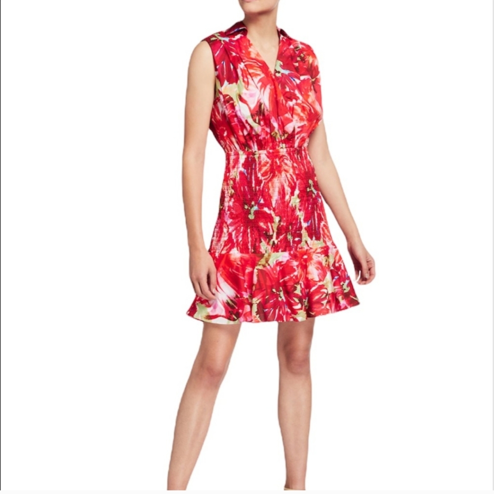 Milly Women's Nora Brushstroke Floral Poplin Dress Size 2
